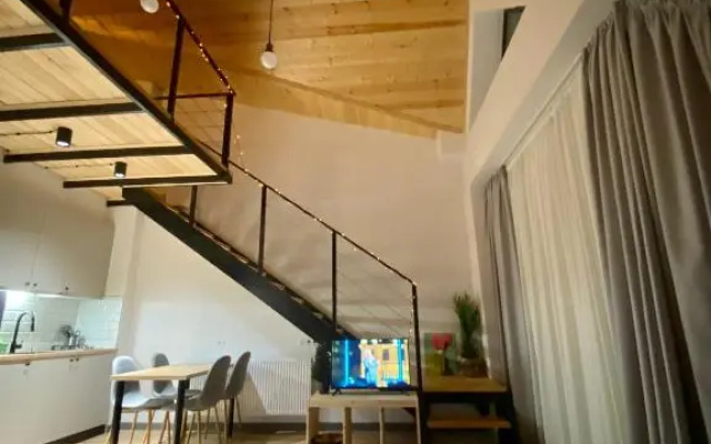 Snow Forest Bakuriani Apartment 18