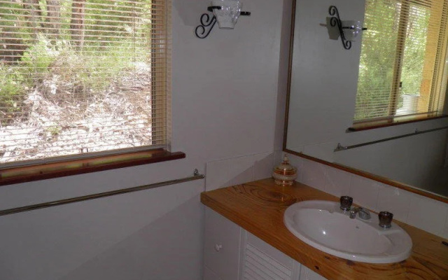 Forest Echo Cottage