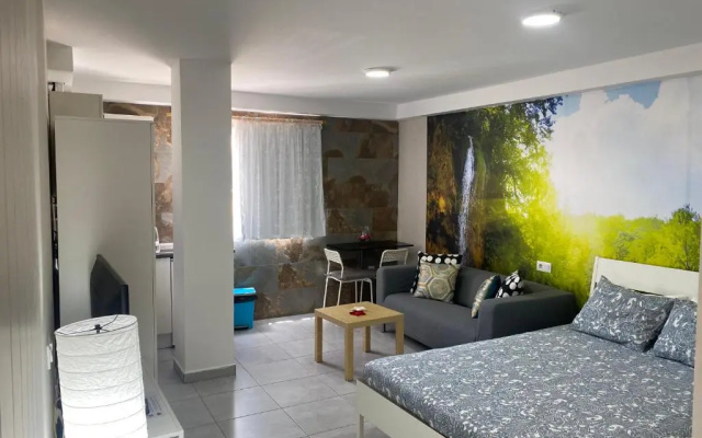 Studio Prieto Vv N7