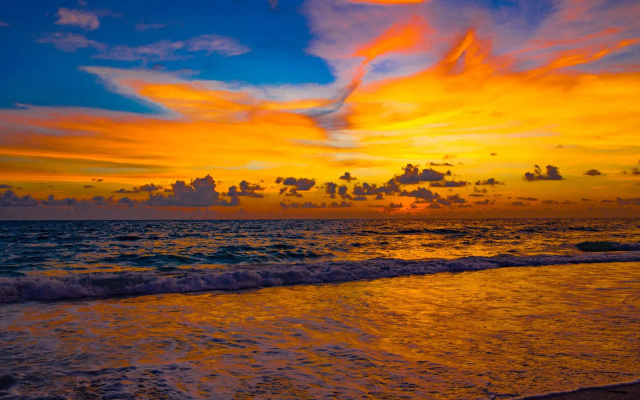 Anna Maria Island Beach Palms 7A