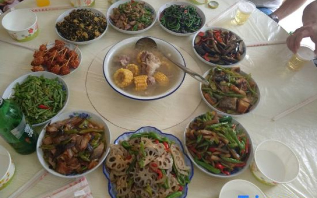 Yao Qi  Gang