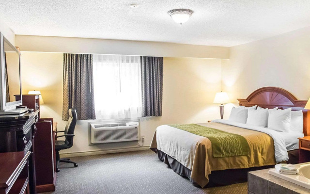 Comfort Inn & Suites Thousand Islands Harbour District