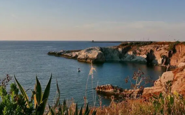 Rosalia Homestay - Ponente Apartment