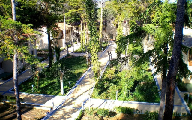 Progevita