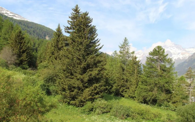 Appartement Lanslebourg-Mont-Cenis, 3 pièces, 6 personnes - FR-1-508-121