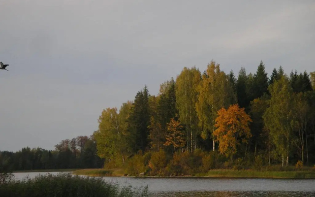 Pohlametsa Holiday House