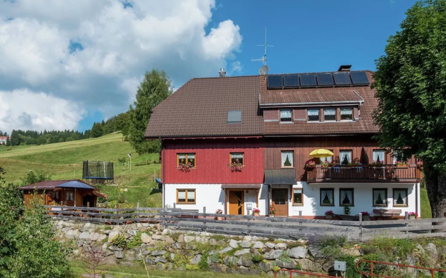 Luxurious Apartment in Todtnauberg With Terrace