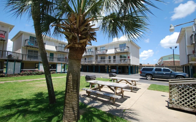 Sand Dollar 14 by RedAwning