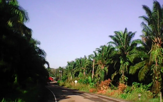 Pordee Shop