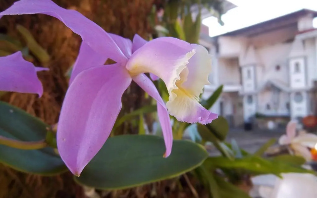 Pousada do Mendonça