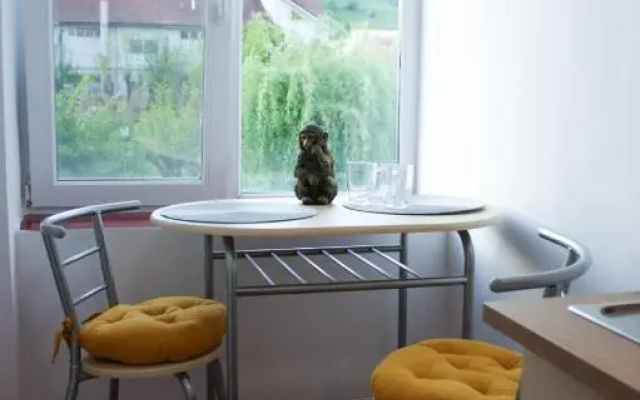Vlad's Downtown Apartment