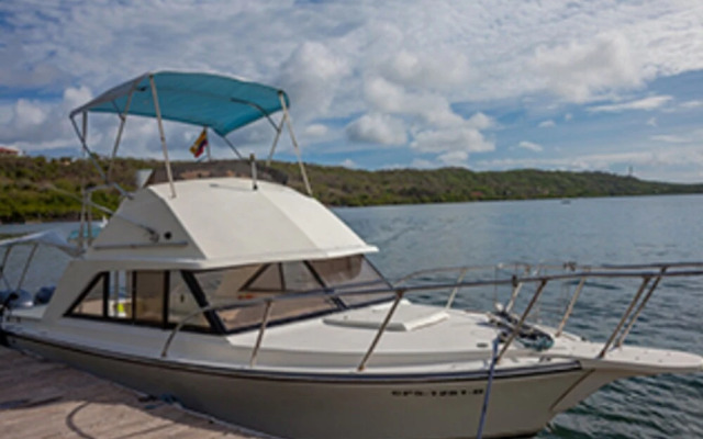 Isla Madre Selva