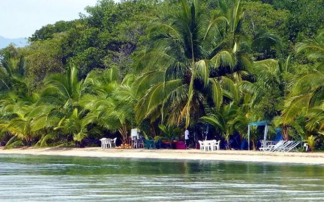 Paradise Waits