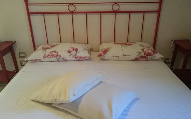 B&B Foresti