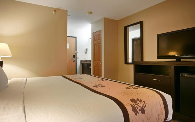 Best Western Alexandria Inn
