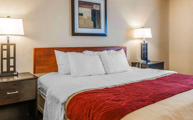 Comfort Inn Avon-Indianapolis West