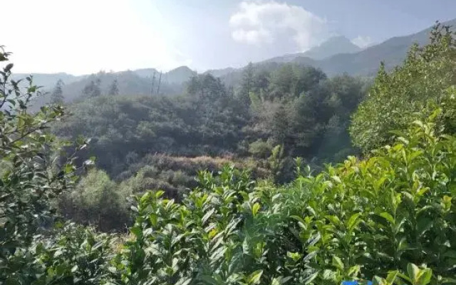 Yunjin Mountain Villa · Cloud Sky Retreat