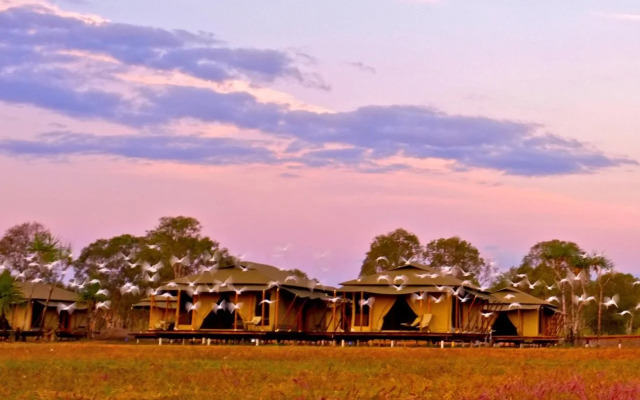 Wildman Wilderness Lodge