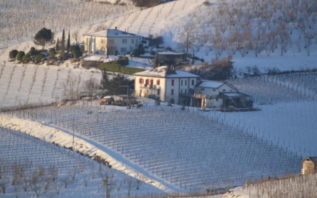Agriturismo Mondoarancio