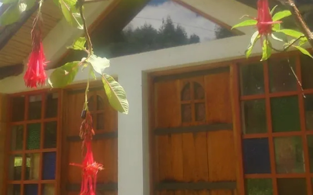 The Lost Leprechaun Ecohostel