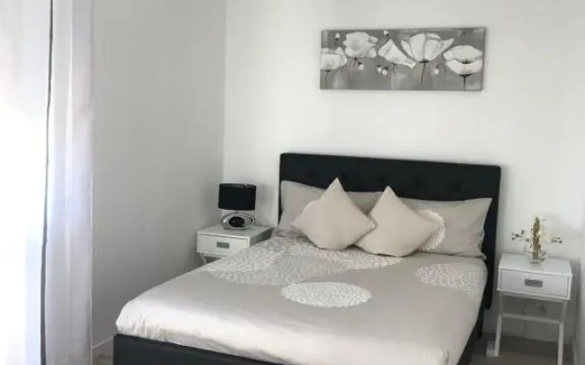 Roanne-centre appartement