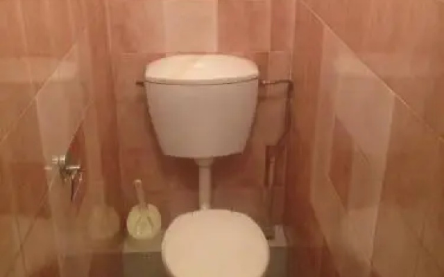 Виолетта на Ленина