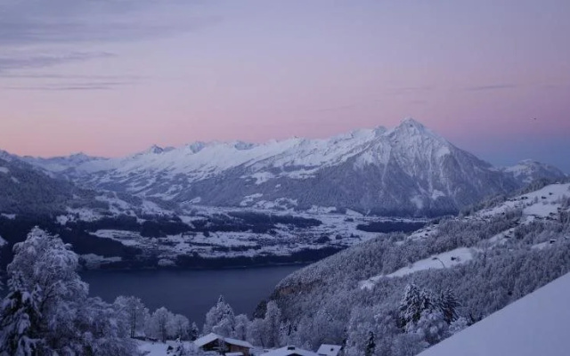 Swiss Lakeview Apartment