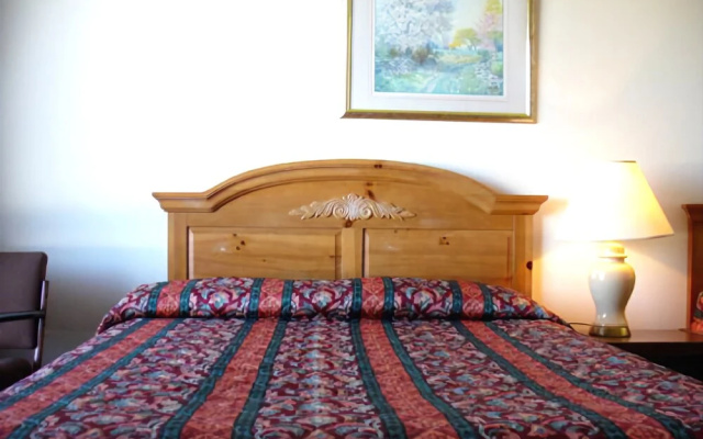 Pine Tree Motel