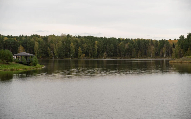 ForRest (Форест)