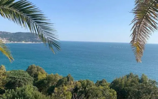 Bellissima Cervo