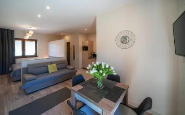 Apartamenty i pokoje Przy Termach