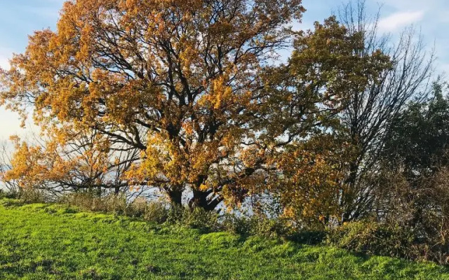 Hus Sünnschien