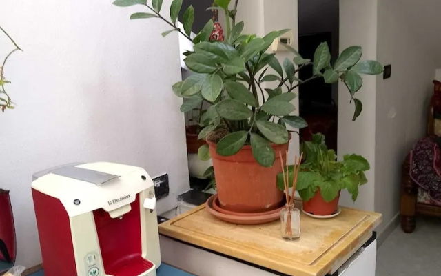 Spacious and Naturally Bright Bomboniera Rooftop Favors Apartment