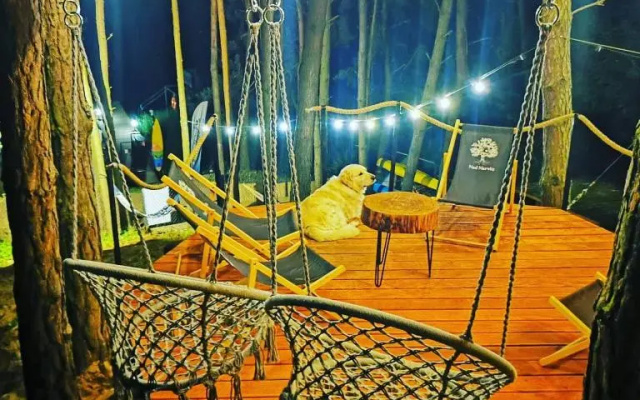 Nad Narvią - Glamp