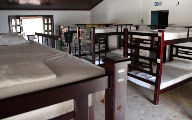 Drop Bear Hostel