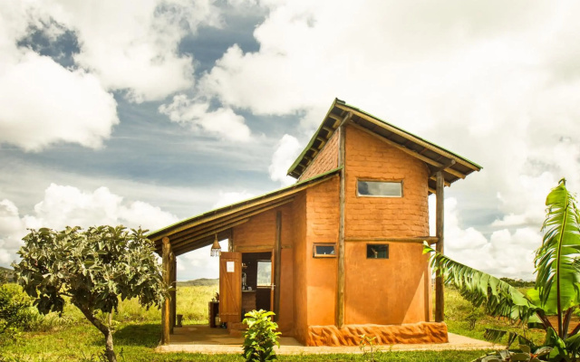 Raizando Ecologia Humana