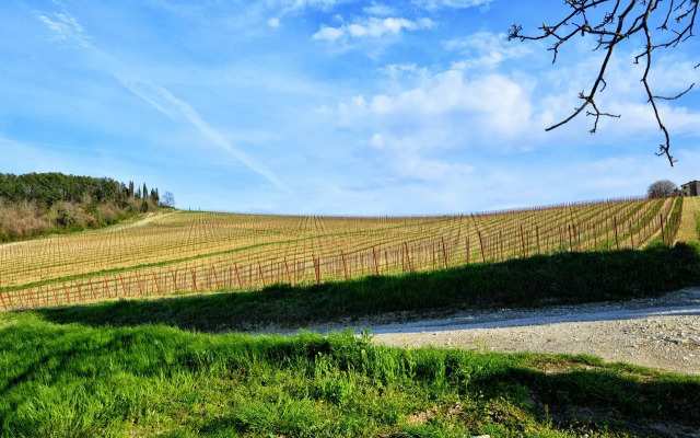 Appartamenti Tortorella