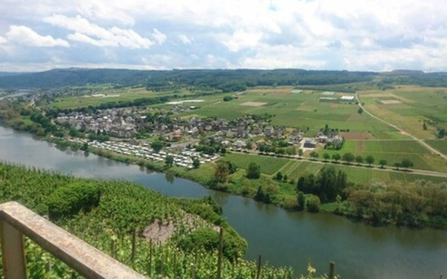 Weingut & Gästehaus Kaufmann-Schneider