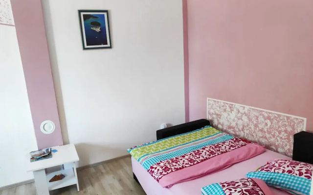 Apartment Damir