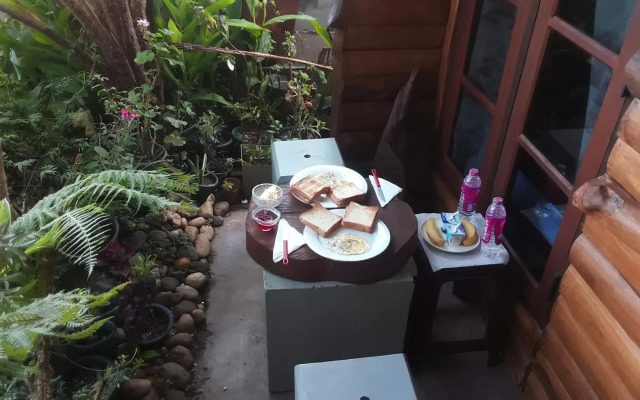 20/20 wood cabana