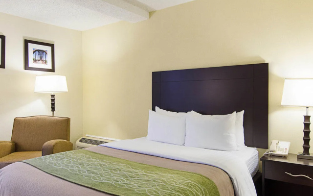 Comfort Inn West