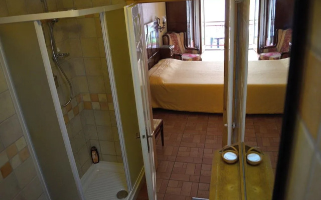 B&B Animali Selvaggi