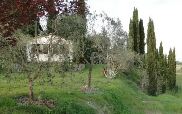 Il pollice verde