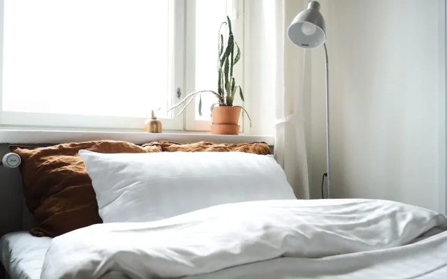 Homelike 1BR Apartment in Historical Building