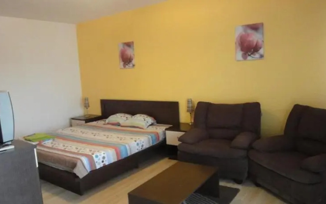 Confort Accommodation Apartments - 13 Septembrie
