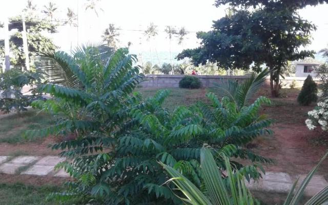 Masha Beach Inn
