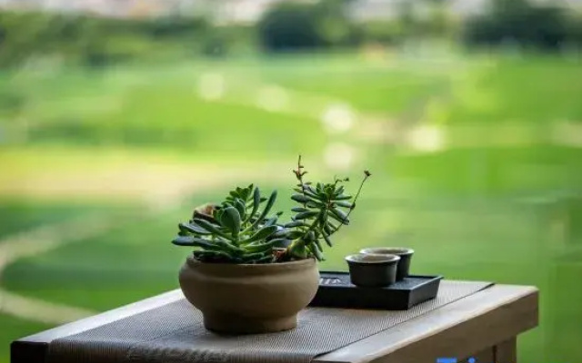 Shaxi Wangxi B&B