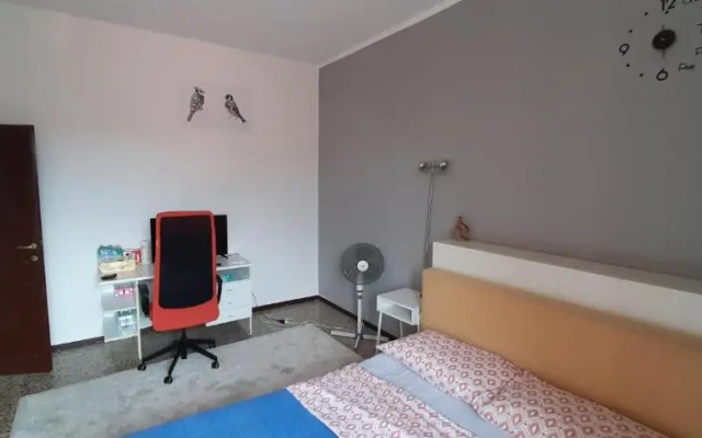Stephy House