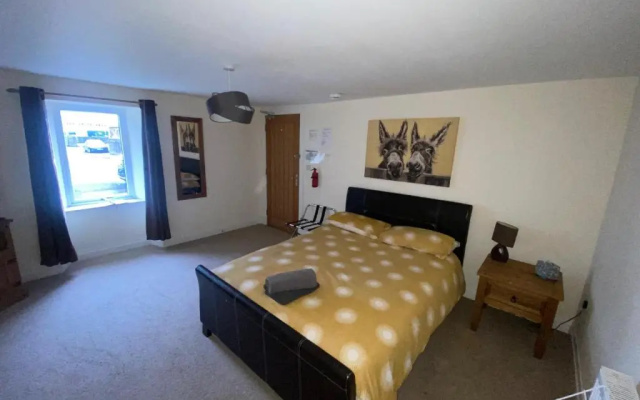 Little Ship Inn Rooms (Adults Only)