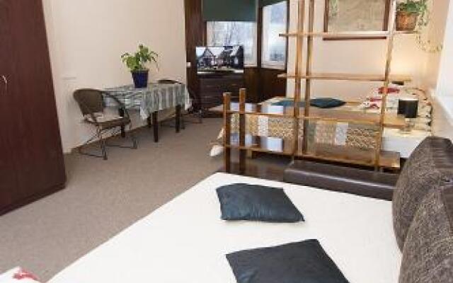 Отель Guest House Drusva Литва, Друскининкай - 1 отзыв об отеле, цены и фото номеров - забронировать отель Guest House Drusva онлайн